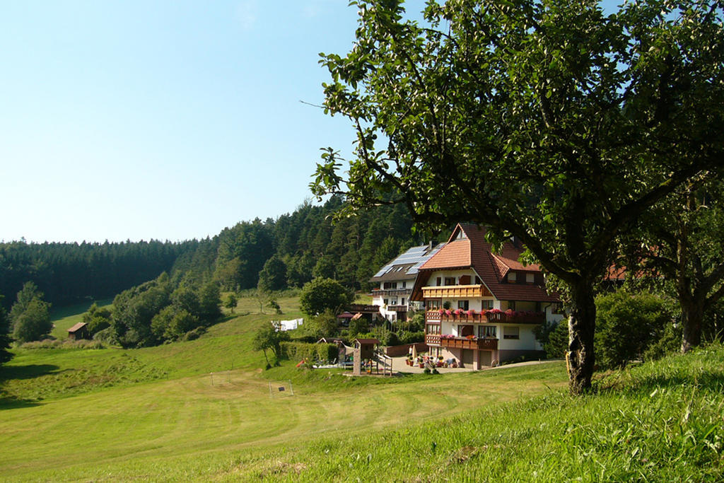 Schlosshof - Der Urlaubsbauernhof Villa Elzach Bagian luar foto