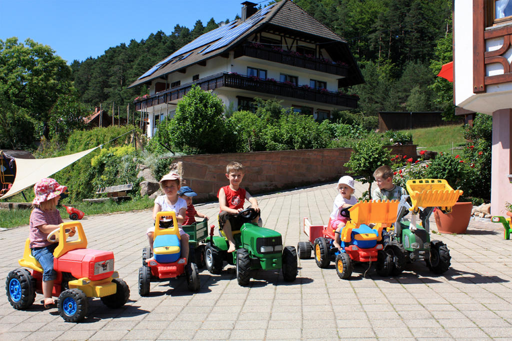 Schlosshof - Der Urlaubsbauernhof Villa Elzach Bagian luar foto