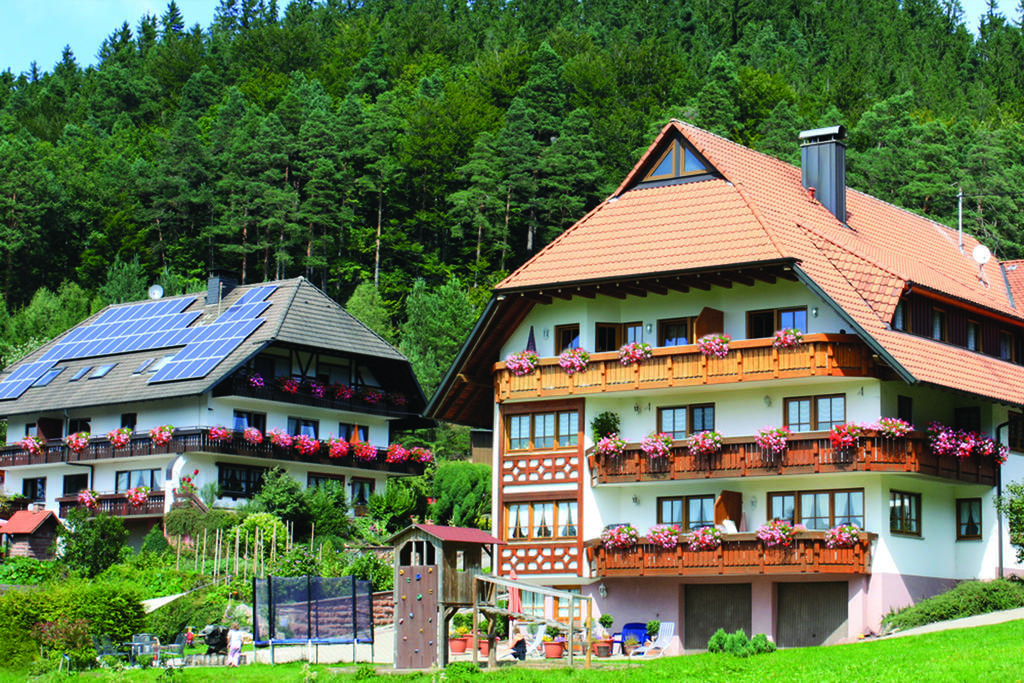 Schlosshof - Der Urlaubsbauernhof Villa Elzach Bagian luar foto