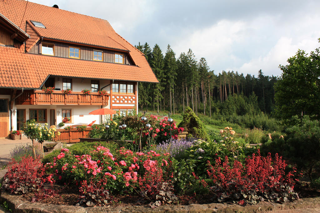 Schlosshof - Der Urlaubsbauernhof Villa Elzach Bagian luar foto